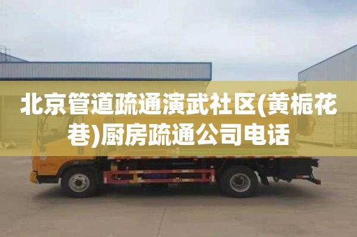 北京管道疏通演武社区(黄栀花巷)厨房疏通公司电话