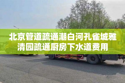 北京管道疏通潮白河孔雀城雅清园疏通厨房下水道费用