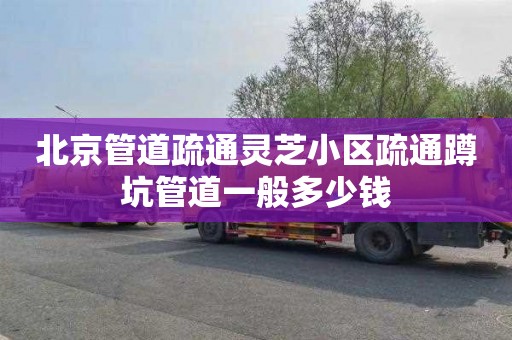 北京管道疏通灵芝小区疏通蹲坑管道一般多少钱