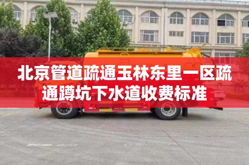 北京管道疏通玉林东里一区疏通蹲坑下水道收费标准