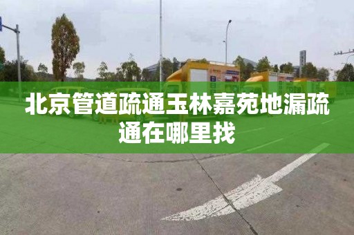 北京管道疏通玉林嘉苑地漏疏通在哪里找