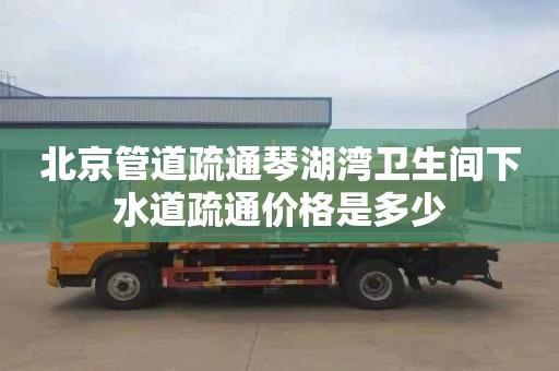 北京管道疏通琴湖湾卫生间下水道疏通价格是多少