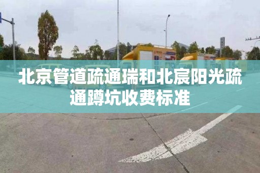 北京管道疏通瑞和北宸阳光疏通蹲坑收费标准