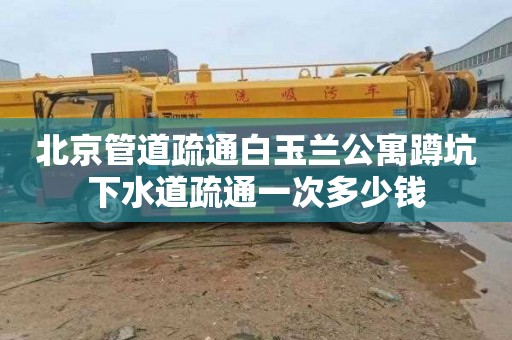 北京管道疏通白玉兰公寓蹲坑下水道疏通一次多少钱