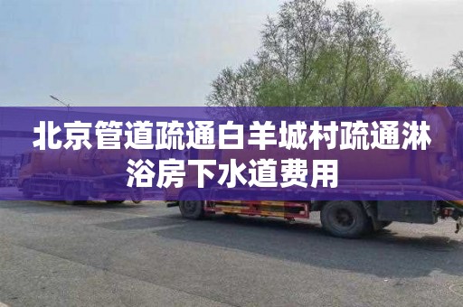北京管道疏通白羊城村疏通淋浴房下水道费用