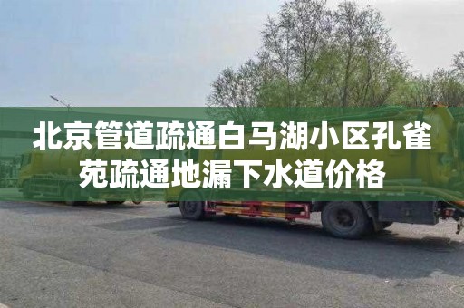 北京管道疏通白马湖小区孔雀苑疏通地漏下水道价格