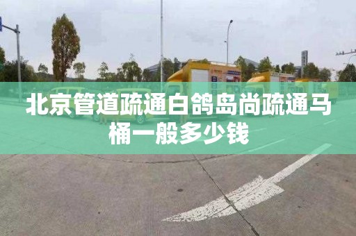 北京管道疏通白鸽岛尚疏通马桶一般多少钱