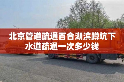 北京管道疏通百合湖滨蹲坑下水道疏通一次多少钱