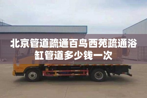 北京管道疏通百鸟西苑疏通浴缸管道多少钱一次