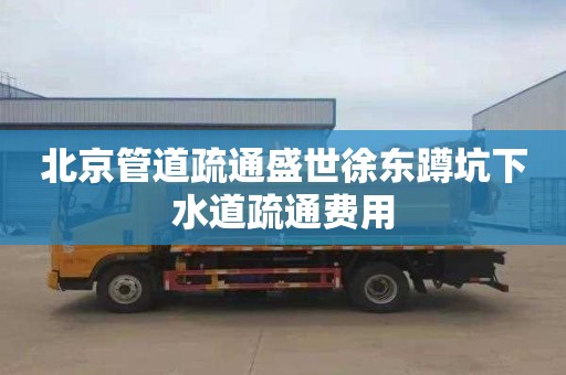 北京管道疏通盛世徐东蹲坑下水道疏通费用