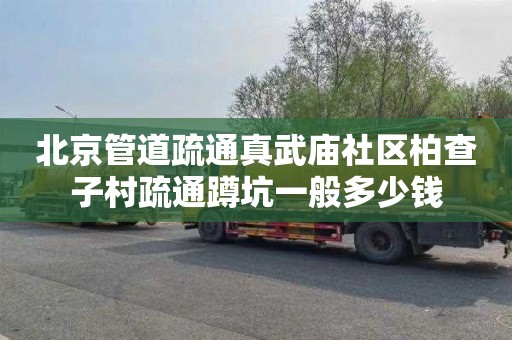 北京管道疏通真武庙社区柏查子村疏通蹲坑一般多少钱