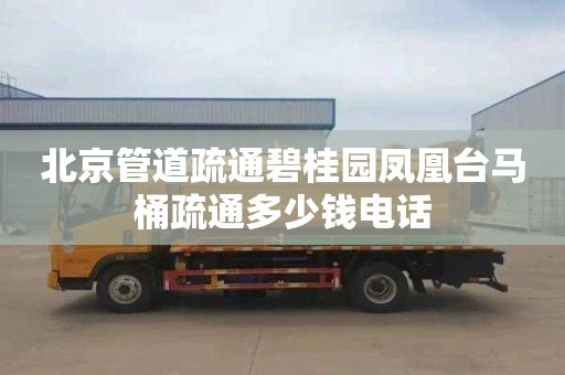 北京管道疏通碧桂园凤凰台马桶疏通多少钱电话