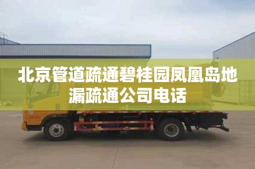 北京管道疏通碧桂园凤凰岛地漏疏通公司电话