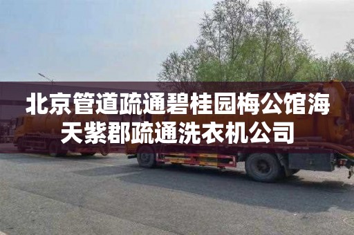 北京管道疏通碧桂园梅公馆海天紫郡疏通洗衣机公司