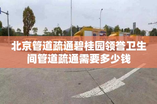 北京管道疏通碧桂园领誉卫生间管道疏通需要多少钱