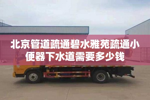 北京管道疏通碧水雅苑疏通小便器下水道需要多少钱