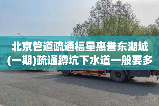 北京管道疏通福星惠誉东湖城(一期)疏通蹲坑下水道一般要多少钱