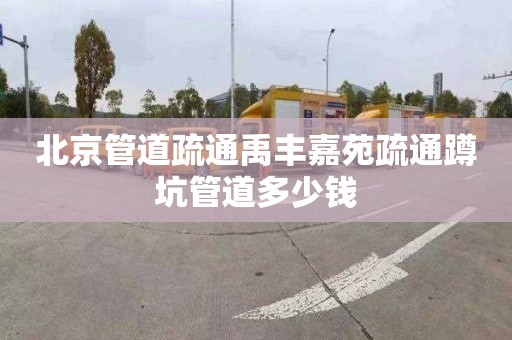 北京管道疏通禹丰嘉苑疏通蹲坑管道多少钱