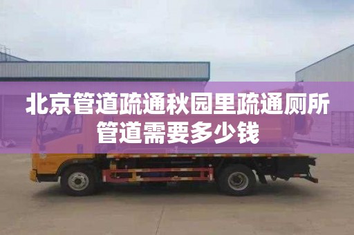 北京管道疏通秋园里疏通厕所管道需要多少钱