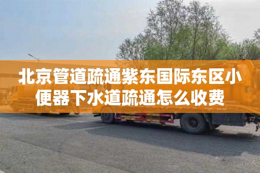 北京管道疏通紫东国际东区小便器下水道疏通怎么收费