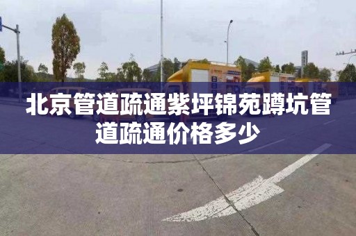 北京管道疏通紫坪锦苑蹲坑管道疏通价格多少