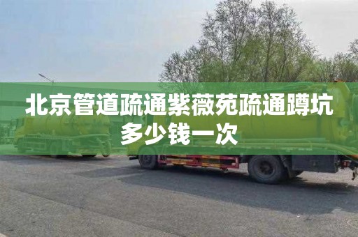 北京管道疏通紫薇苑疏通蹲坑多少钱一次