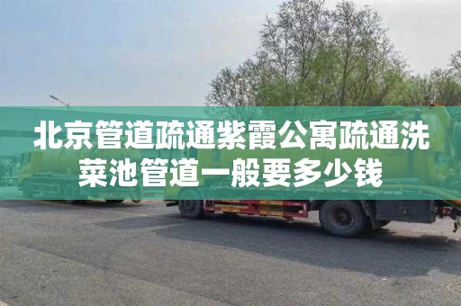 北京管道疏通紫霞公寓疏通洗菜池管道一般要多少钱
