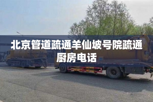 北京管道疏通羊仙坡号院疏通厨房电话