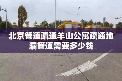 北京管道疏通羊山公寓疏通地漏管道需要多少钱