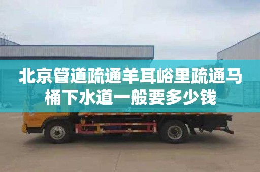 北京管道疏通羊耳峪里疏通马桶下水道一般要多少钱