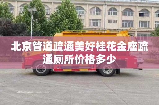 北京管道疏通美好桂花金座疏通厕所价格多少