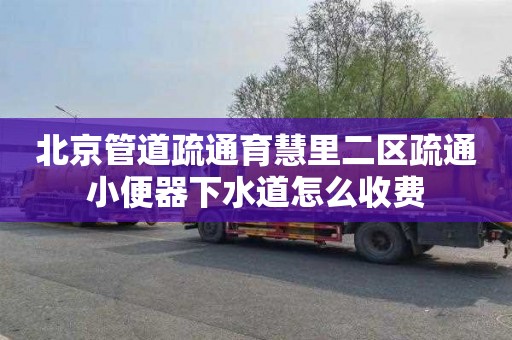北京管道疏通育慧里二区疏通小便器下水道怎么收费