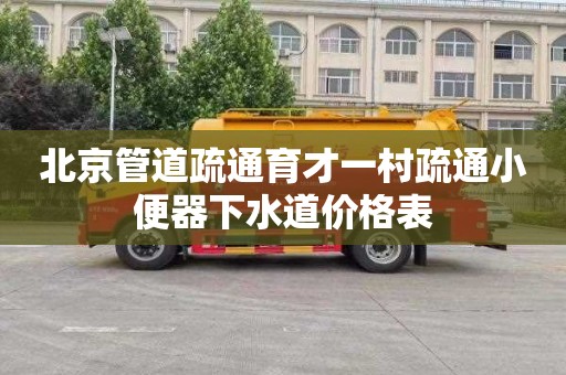 北京管道疏通育才一村疏通小便器下水道价格表