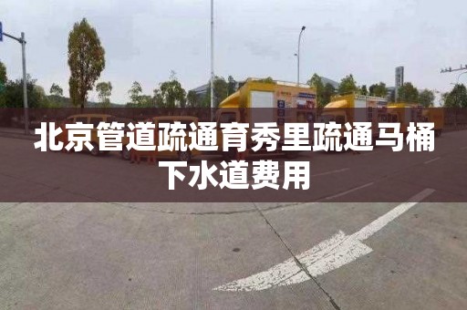北京管道疏通育秀里疏通马桶下水道费用