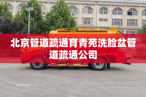 北京管道疏通育青苑洗脸盆管道疏通公司
