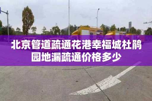 北京管道疏通花港幸福城杜鹃园地漏疏通价格多少