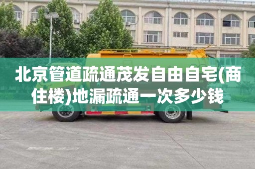 北京管道疏通茂发自由自宅(商住楼)地漏疏通一次多少钱