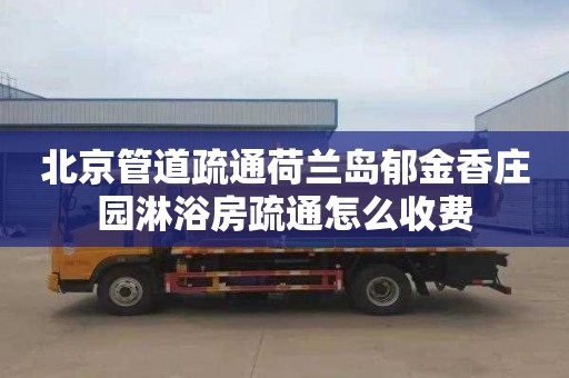 北京管道疏通荷兰岛郁金香庄园淋浴房疏通怎么收费