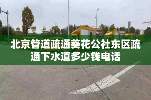 北京管道疏通葵花公社东区疏通下水道多少钱电话