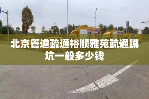 北京管道疏通裕顺雅苑疏通蹲坑一般多少钱