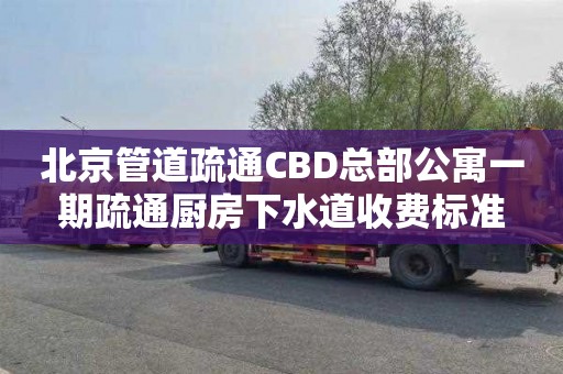 北京管道疏通CBD总部公寓一期疏通厨房下水道收费标准