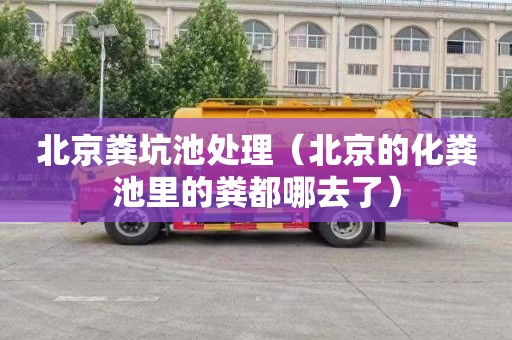 北京粪坑池处理（北京的化粪池里的粪都哪去了）