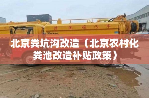 北京粪坑沟改造（北京农村化粪池改造补贴政策）