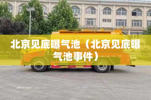 北京见底曝气池（北京见底曝气池事件）