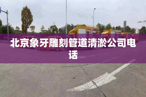 北京象牙雕刻管道清淤公司电话