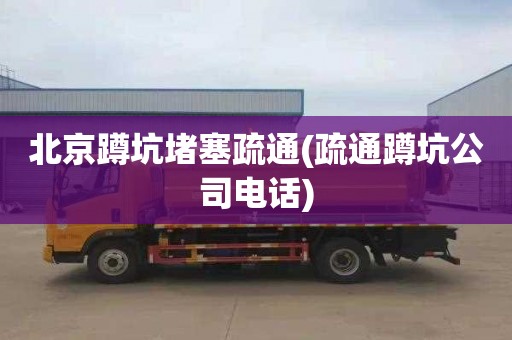 北京蹲坑堵塞疏通(疏通蹲坑公司电话)