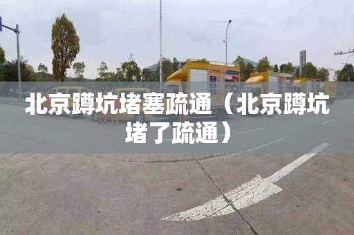 北京蹲坑堵塞疏通（北京蹲坑堵了疏通）