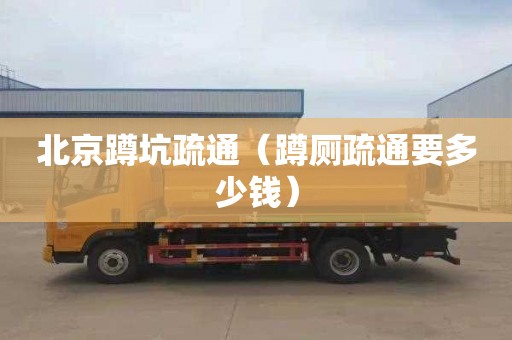 北京蹲坑疏通（蹲厕疏通要多少钱）