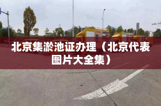 北京集淤池证办理（北京代表图片大全集）
