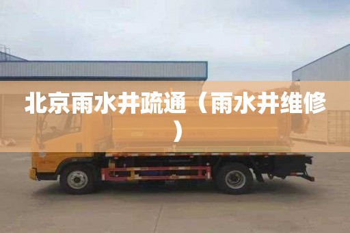 北京雨水井疏通（雨水井维修）